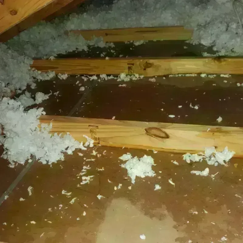 Attic Water Damage in Rancho Santa Fe, CA